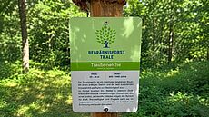 Schild im Begräbnisforst Thale