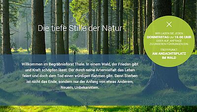 Führung durch den Begräbnisforst.