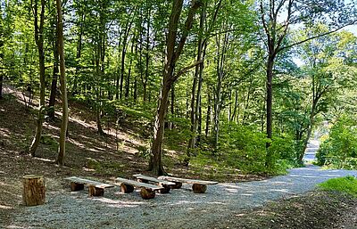 Neuer Andachtsplatz im Bergäbnisforst Thale im Harz.