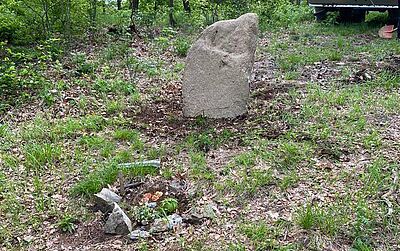 Neuer Ruhestein im Begräbnisforst Thale.