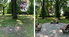 Friedhof Harzergode: Bestattung am Baum und Gedenkstein mit Sitzbänken.